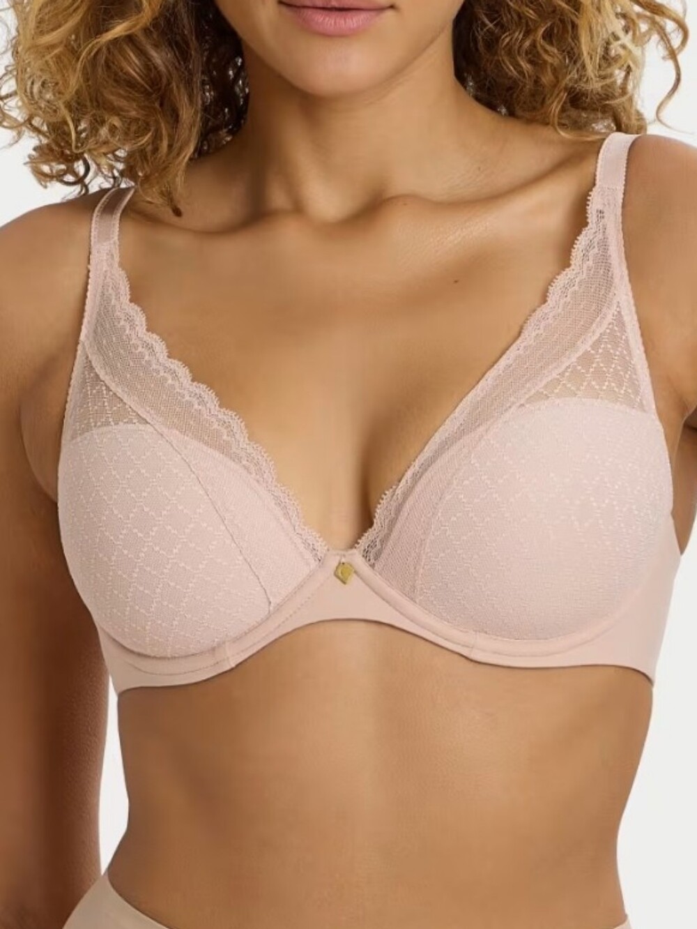 Chantelle Croup Norah Lace Bra Underwire 34DDDD Rose 16MNA Chic Elegance